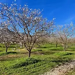 Hébergement de vacances Le Residenze Dei Mandorli - Immersi Nel Della Macchia Mediterranea A *