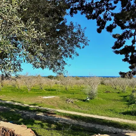 Le Residenze Dei Mandorli - Immersi Nel Della Macchia Mediterranea A