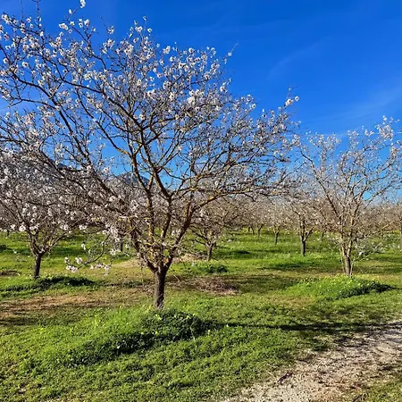 Tatil Evi Le Residenze Dei Mandorli - Immersi Nel Della Macchia Mediterranea A *