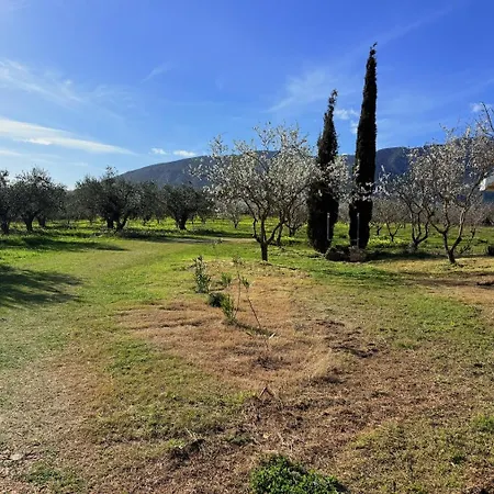 Le Residenze Dei Mandorli - Immersi Nel Della Macchia Mediterranea A Hébergement de vacances