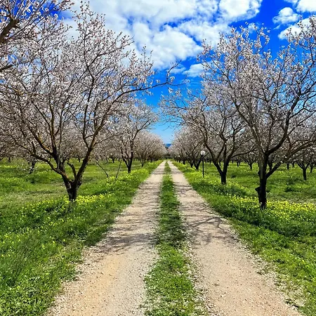 Le Residenze Dei Mandorli - Immersi Nel Della Macchia Mediterranea A Hébergement de vacances Orosei